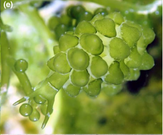 9a572a7c-35d1-4612-bd8a-b0901f41b3cb